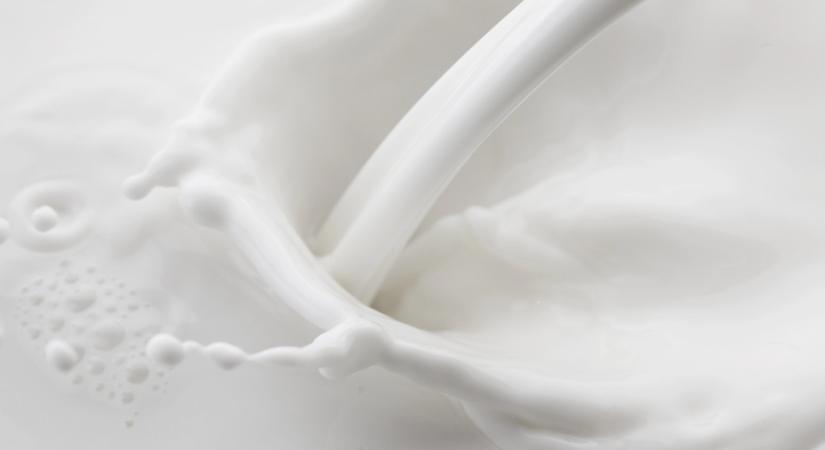 Padlóra került a magyar tej