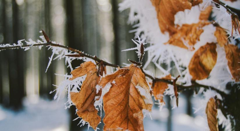 Napi horoszkóp – február 11., szerda