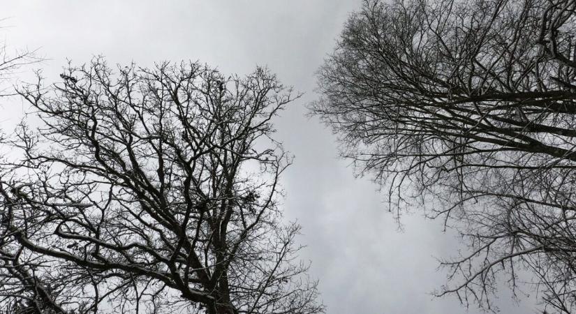 Orkánerejű szél csapott le Magyarországra – döbbenetes értékeket mértek