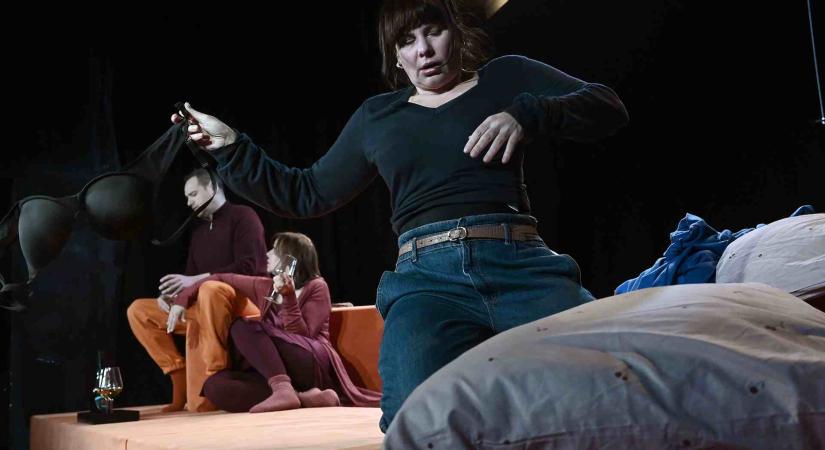 A SZENNYESKOSÁR, A LEJÁRT TEJ ÉS A KUTYA Marius von Mayenburg: EX / Orlai Produkció, 6szín