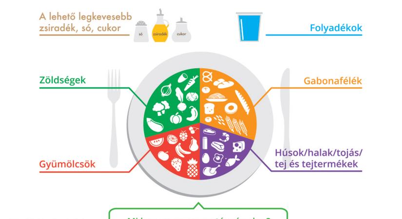 Az “okostányér” kapaszkodó a mindennapokra