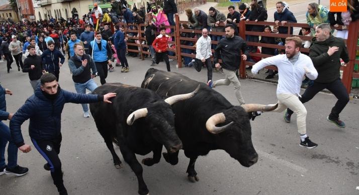 Felnyársalta a nyugdíjast a bika, esélye sem volt túlélni