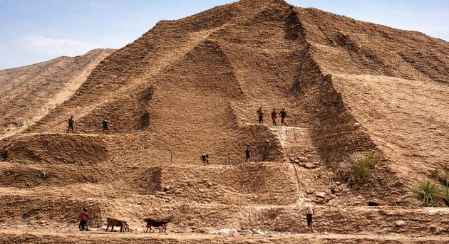 Már az inkák előtt ipari mértékben használták a guanót Peruban
