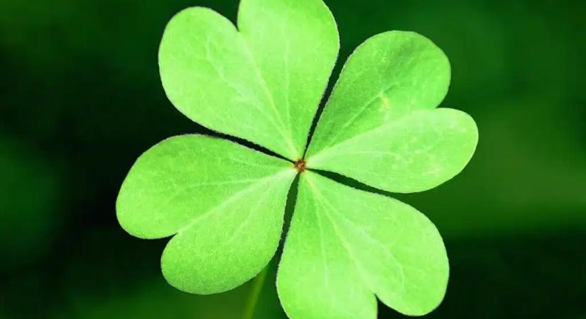 Te is közöttük vagy? Íme 4 csillagjegy, akikre rámosolyog a szerencse 2026 nyarán