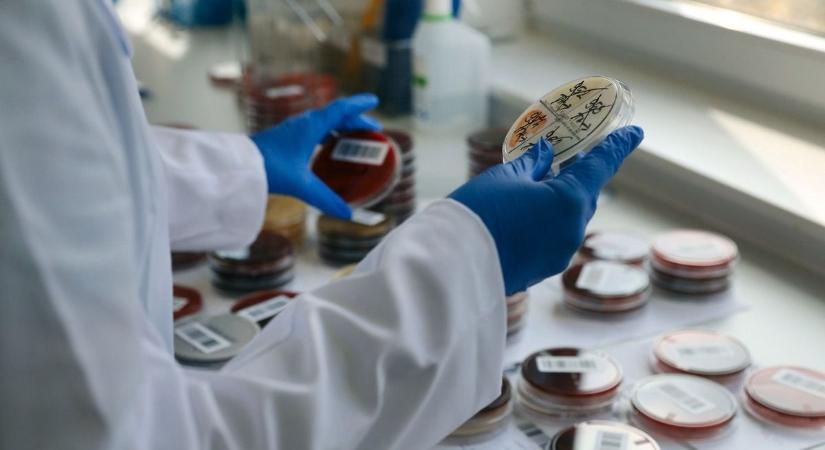 Itt vannak a legfrissebb adatok! Számos fertőzés van jelen Hajdú-Biharban