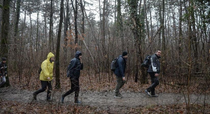 Őrök pásztázzák csak ezért a Bükköt és a Mátrát, fájó bírságot kockáztatsz, ha megtalálják nálad