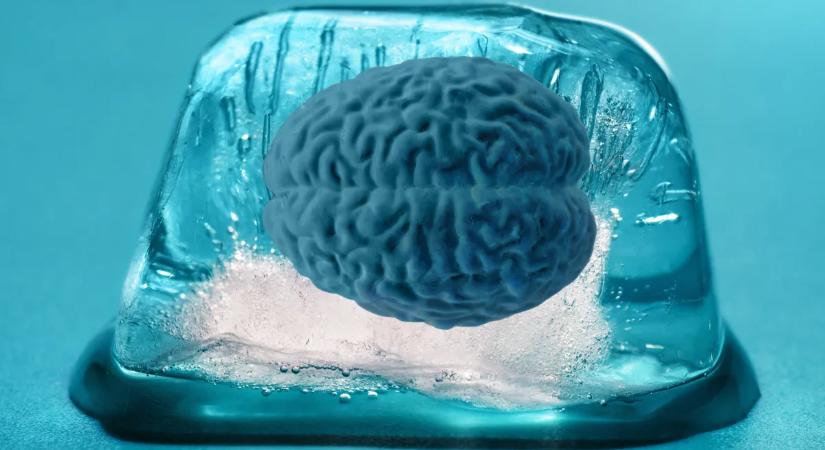 Örök életet adhatnak haldokló kislányuknak – lefagyasztották a gyermek agyát a szülők