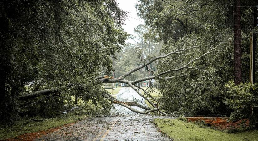 Tizenkét helyre riasztották a tűzoltókat vasárnap vármegyénkben a viharos szél miatt
