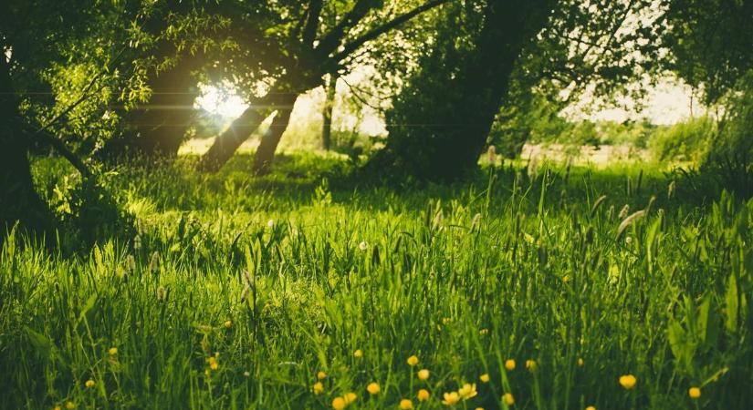 Enyhülést hoz Julianna? Keddtől már a böjt kezdete!