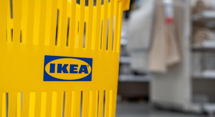 Ezeket az üzleteket akarják a városba a szolnokiak, az ország egyik kedvence is köztük van