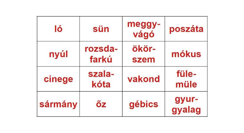 Műveltségi teszt, természetismeret: megtalálja fél perc alatt azt a sort/oszlopot, ami csak emlősöket tartalmaz?