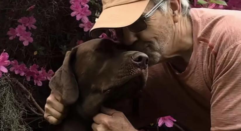 Szomorú volt a bácsi, a lányai kutyával lepték meg: ami ezután történt, csoda