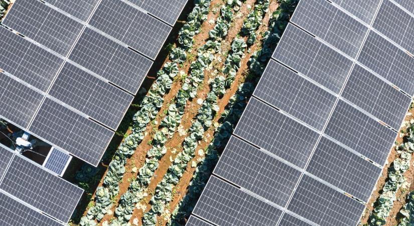 Ha lemaradsz erről, más aratja le az energia hasznát is