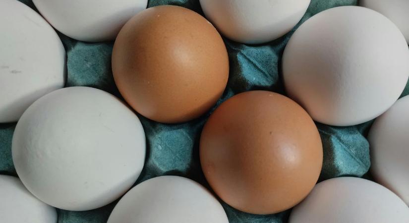 Egészségesebb a barna tojás? A válasz sokakat meglep