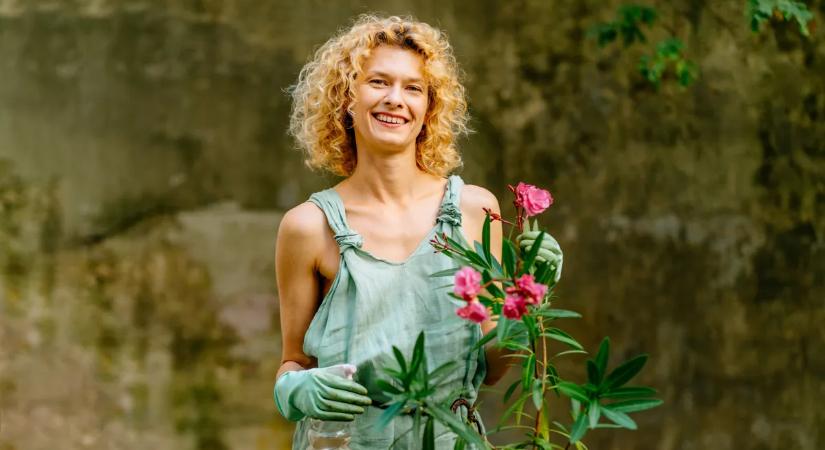 Elfagyott a leander? Íme a megoldás