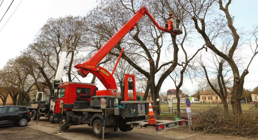 Kosaras autók lepték el Alsóvárost: látványos fordulat a Szabadság téren – galériával, videóval