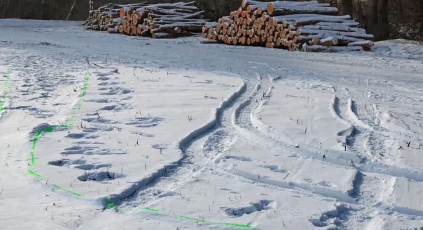 Tragédia a hóban: szánkózás közben halt meg egy 11 éves kisfiú