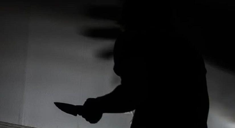 Osztálytársait akarta megölni a borsodi diák