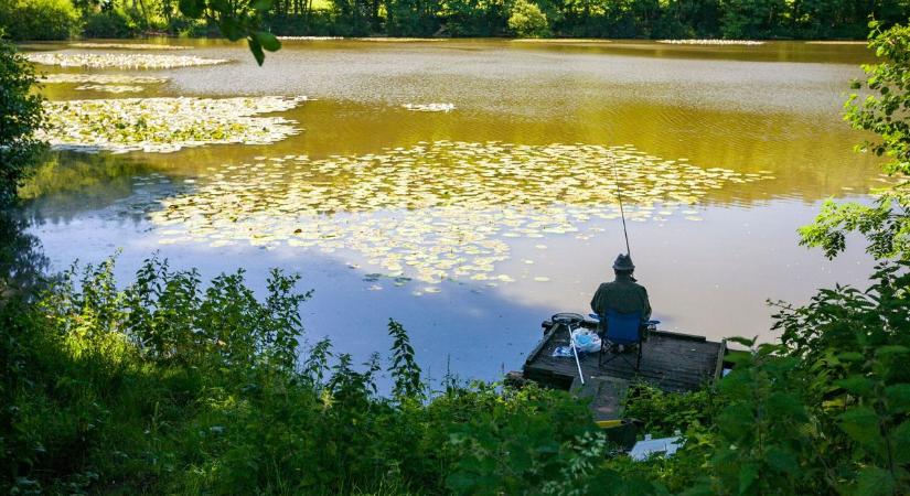 Üzent a Mohosz a panaszkodó Tisza-tavi horgászoknak, most minden szigorú döntést megmagyaráztak