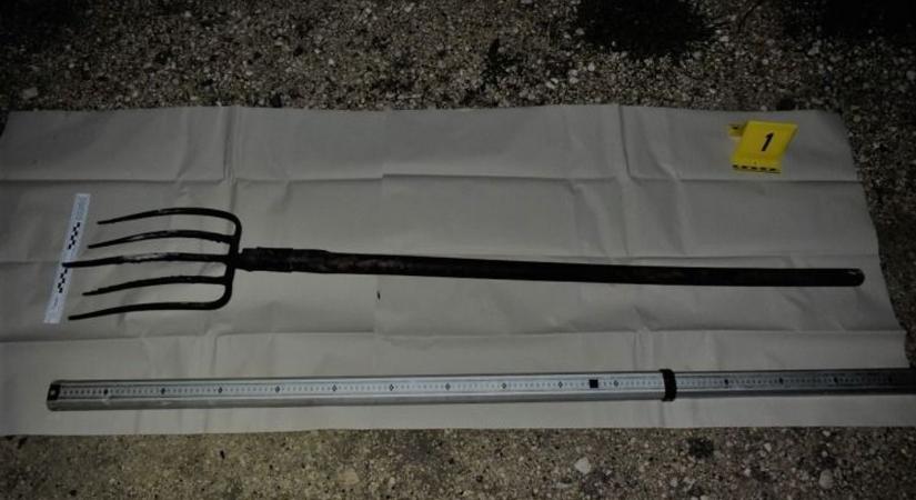 Vérfürdő a várpalotai tanyán: vasvillát vágott haragosa fejébe a fiatal férfi