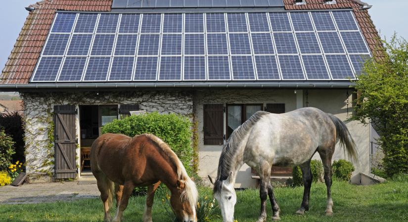 Talán emiatt hagyta cserben Orbán a felvidéki magyarokat a Benes-dekrétumok ügyében