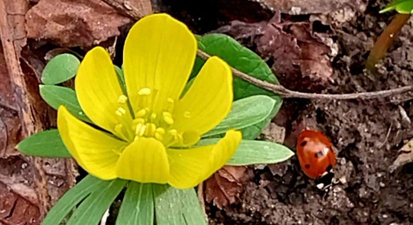Széllel érkezik a változás: mire számítsunk kedden Borsodban?
