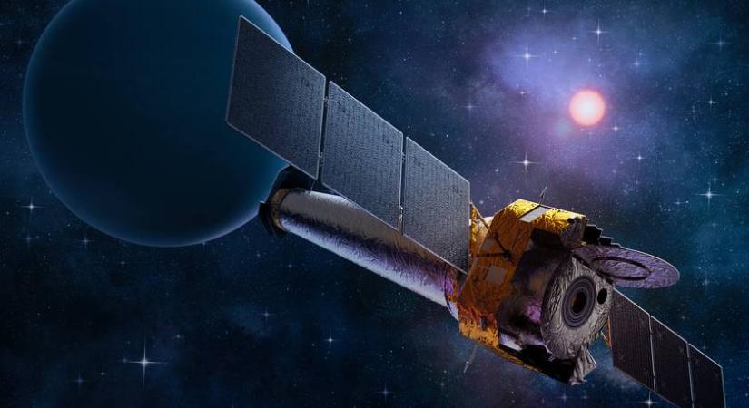 Ez a növény igazi túlélő, még az űrben is jól érzi magát