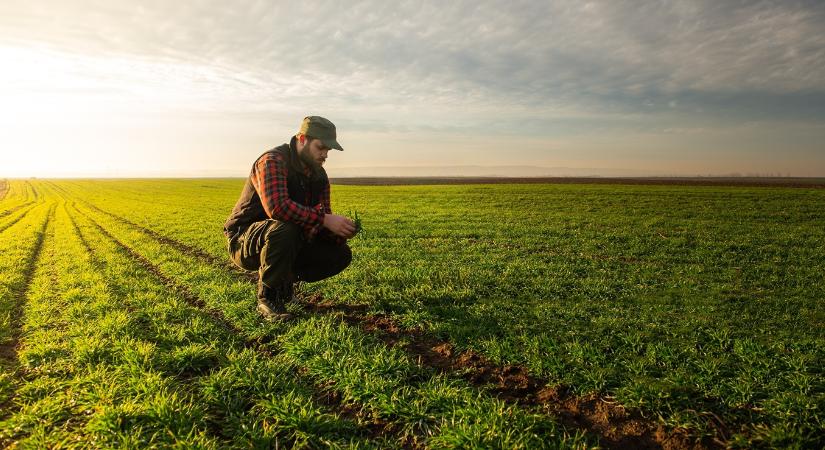 Emelkedő termelési költségek – Ki bírja tovább?