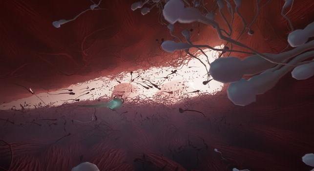 Az idei Valentin-nap nyertese: a spermaszimulátor