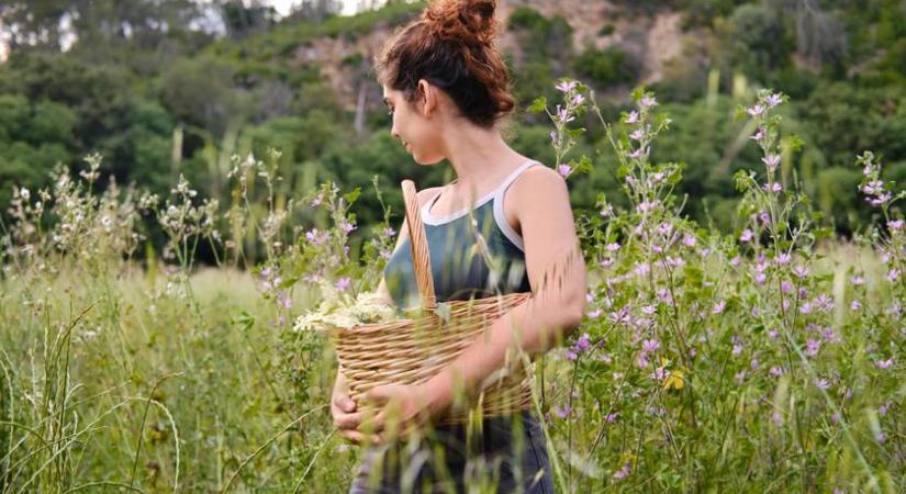 Ma is használják a középkori bájitalok alapanyagait: régen máglyára küldték, aki ezekkel gyógyított