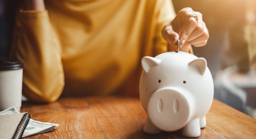 Ennyit is kereshet egy magyar házvezetőnő, ha hajlandó ellátni a különleges igényeket