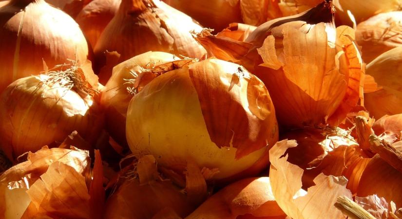 A legtöbben kidobják, pedig a hagymahéj aranyat ér