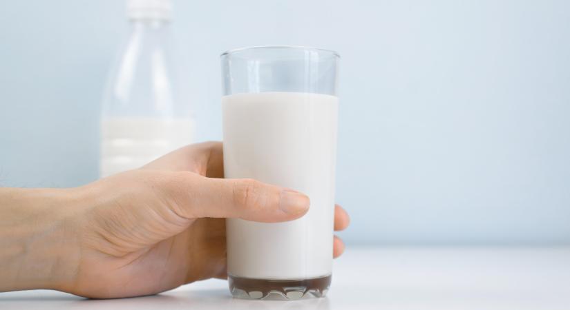 Komoly bajban a tejágazat