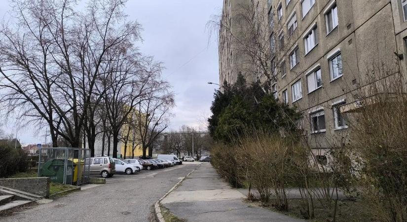 Lecsapott a TEK a tatabányai csikágóban