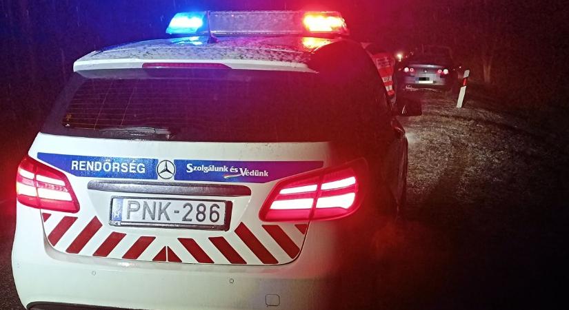 Szarvas miatt szenvedtek balesetet a tompai határra tartó pénzügyőrök – fotók, videó