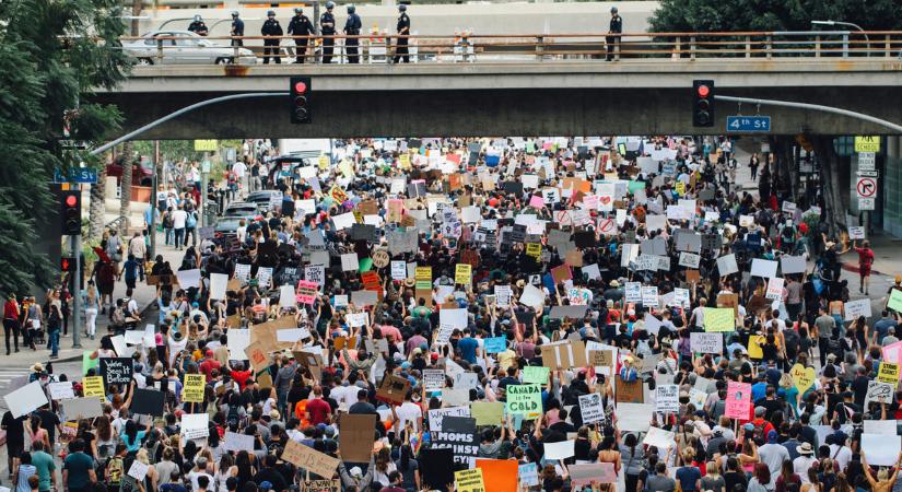 Forrnak az indulatok: kegyetlen állatkínzás miatt követel igazságot az egész világ