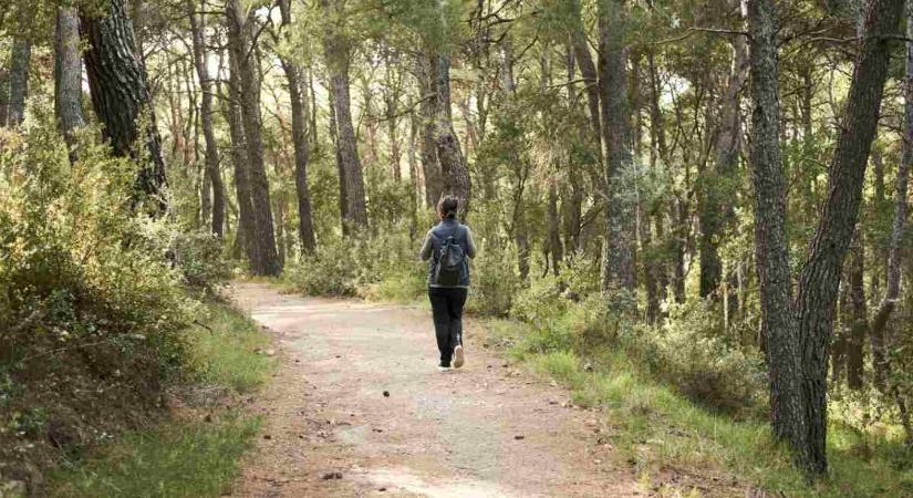 A Mátra varázsereje - Idegrendszer regeneráció az ország egyik legszebb régiójában