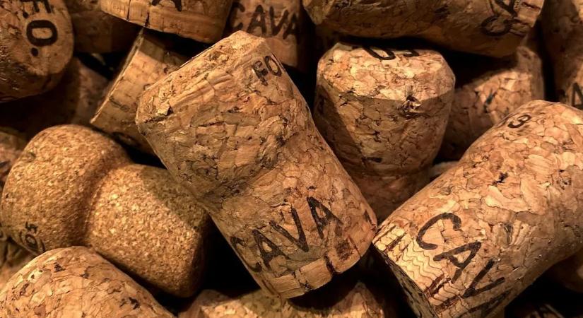 Csak két összetevőből áll ez a két szédítő koktél