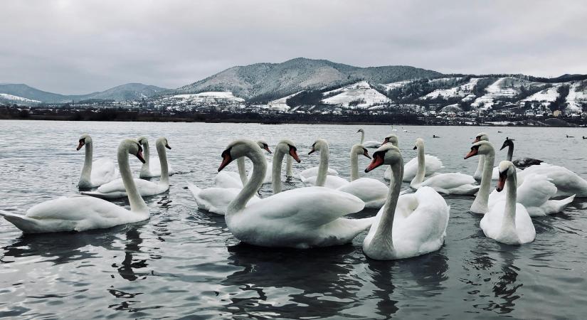 Időjárás 2026. február 17.: Az ég közepesen felhős és a tél továbbra is kitart