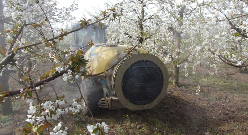 80 növényvédő szert vontak ki az EU-ban, miközben új kártevők lepik el a földeket – így védekezhetnek a gazdák