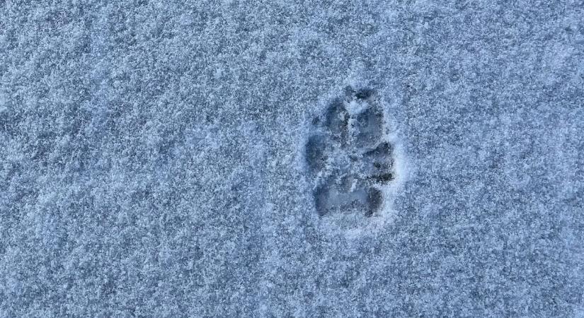 Megtudtuk, mikor érkezik a következő havazás, itt vannak a részletek