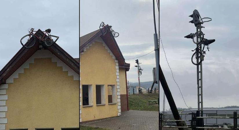 Az egész kisvárost megdöbbentette, hogy mit tettek az éj leple alatt