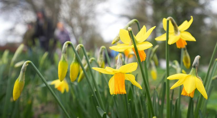 Tél és tavasz csap össze, mozgalmas napok jönnek