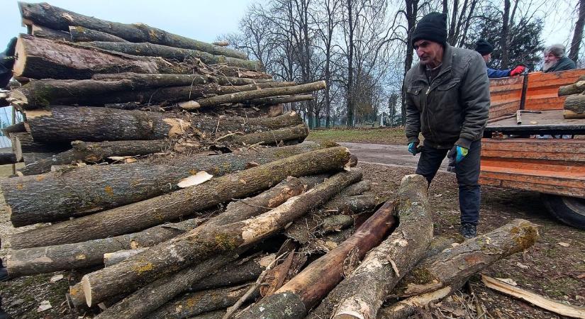 Elfogyott a fa? Több mint kétezer kecskemétinek segítettek már – és még nincs vége!