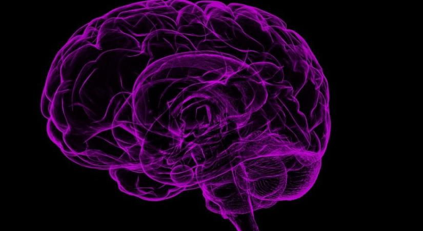 Az agy címkézője, az amigdala