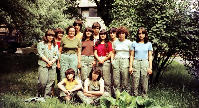 A ’70-es ’80-as években felkapott lánynév volt, mára eltűnt a süllyesztőben