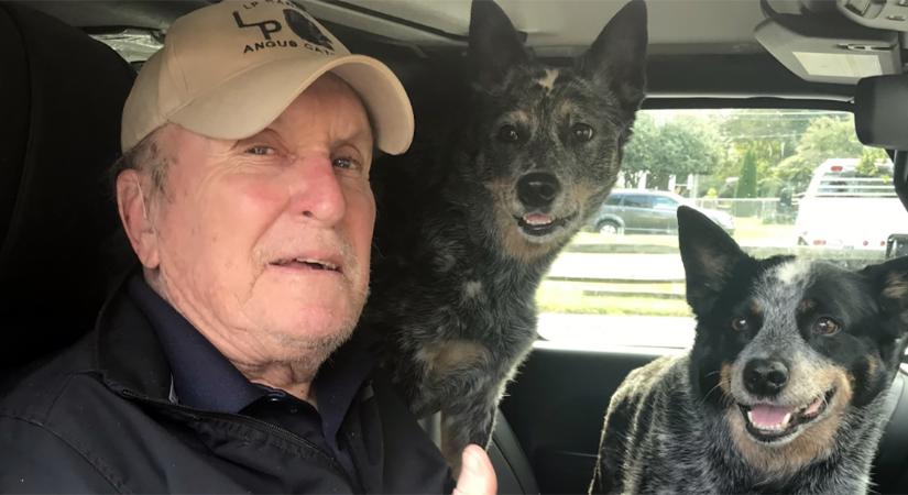 Elhunyt a Keresztapa Oscar-díjas amerikai sztárja