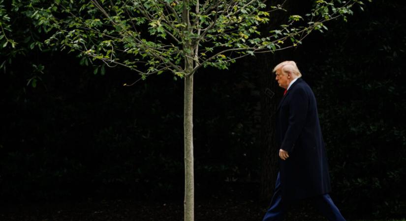 Donald Trump szövetségi beavatkozást rendelt el a Potomac folyó védelmében