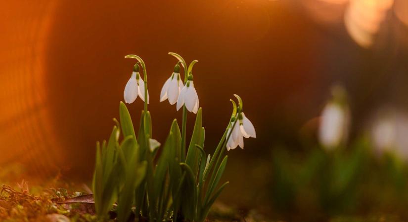Hamarosan enyhül a hideg: ilyen időjárás vár ránk március közepéig