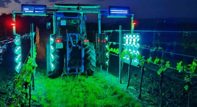 Fotó: shutterstock.com